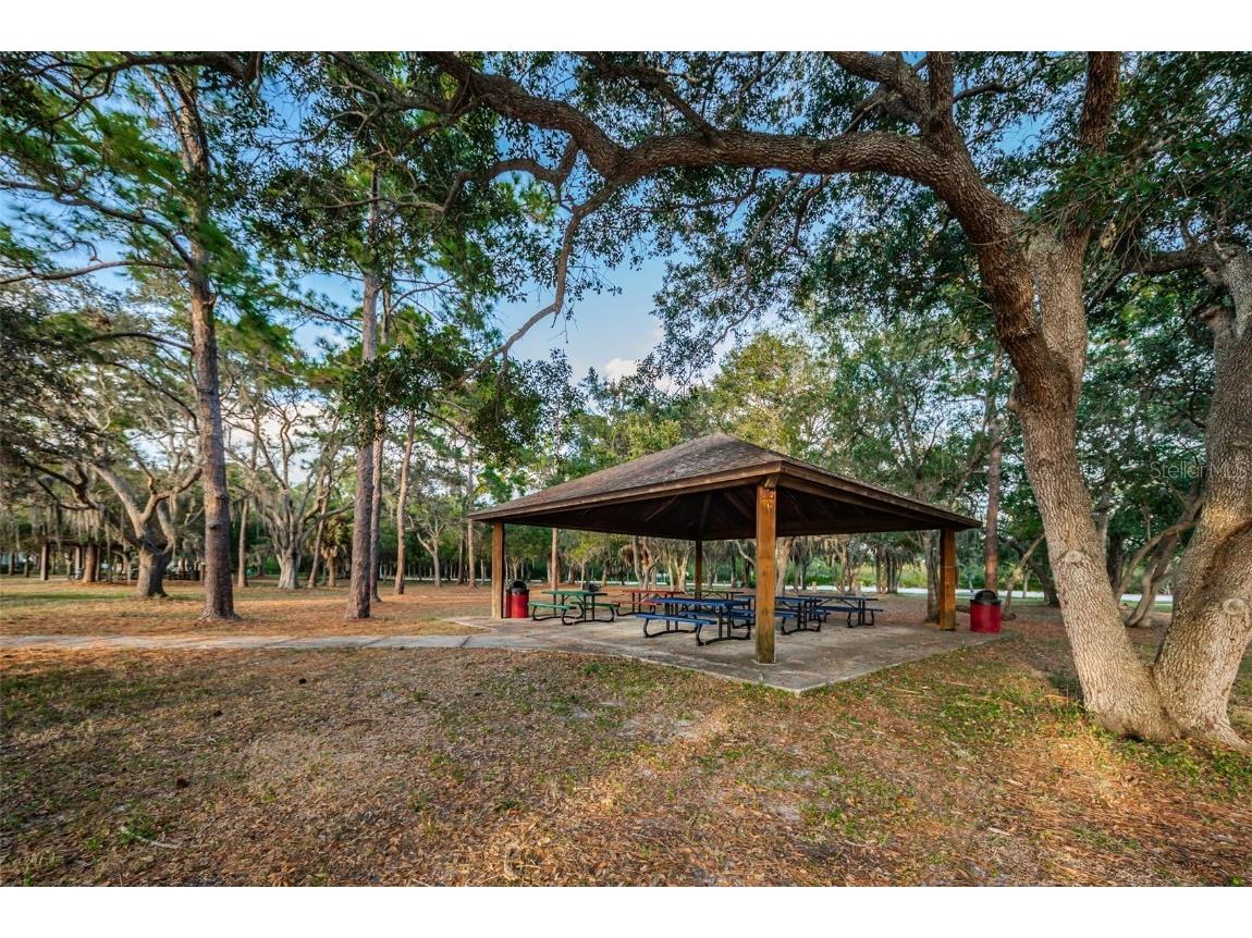 646 Timber Bay Circle W Oldsmar FL 34677 W7879421 image50