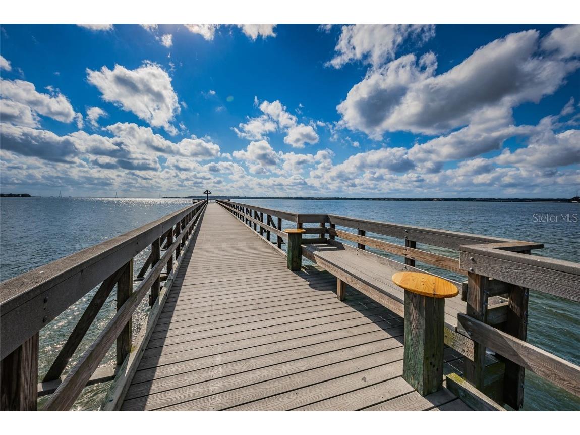 646 Timber Bay Circle W Oldsmar FL 34677 W7879421 image63