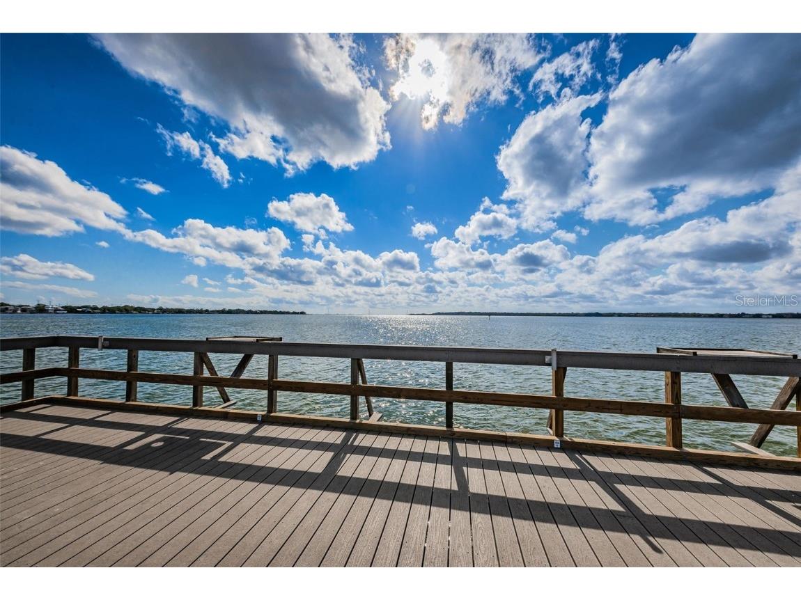 646 Timber Bay Circle W Oldsmar FL 34677 W7879421 image64