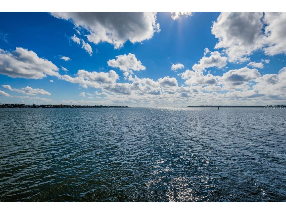 646 Timber Bay Circle W Oldsmar FL 34677 W7879421 image65