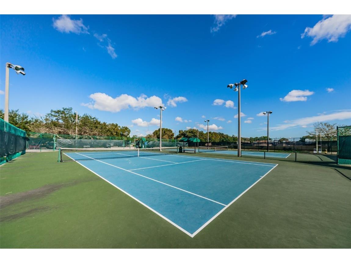 646 Timber Bay Circle W Oldsmar FL 34677 W7879421 image79