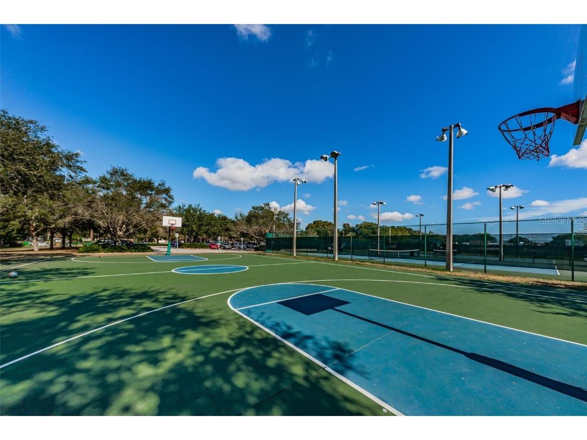 646 Timber Bay Circle W Oldsmar FL 34677 W7879421 image81