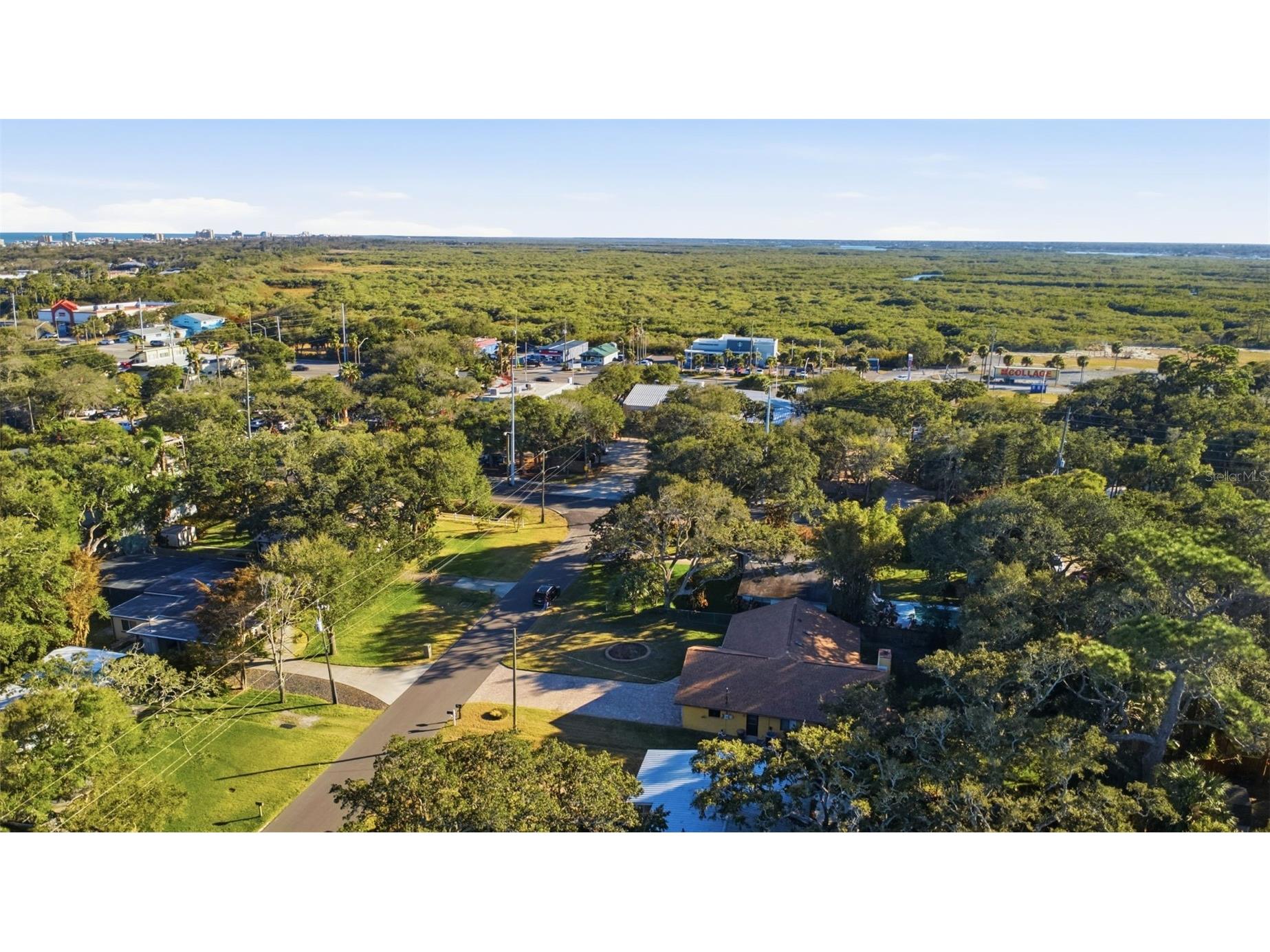 646 Yupon Avenue New Smyrna Beach FL 32169 NS1087271 image35