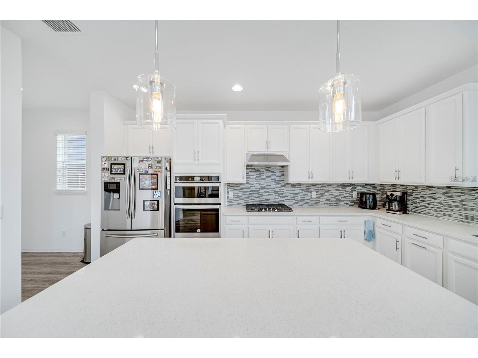 6460 Makrut Lime Drive Winter Garden FL 34787 O6414802 image15