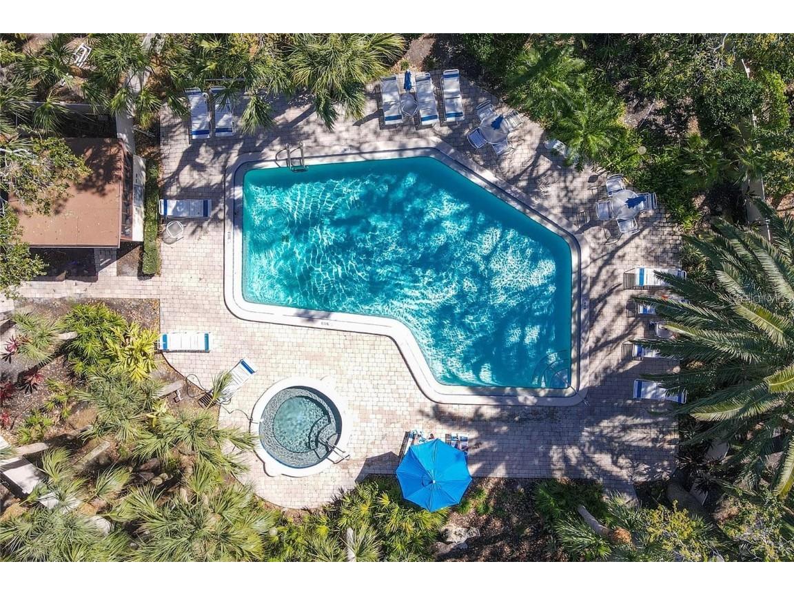 6460 Mourning Dove Drive #204 Bradenton FL 34210 A4671084 image28