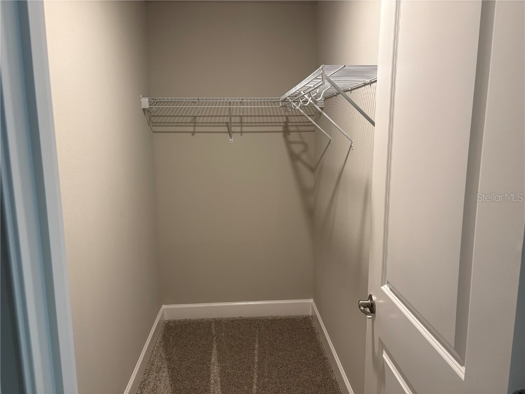 6460 Roseberry Court N Port Orange FL 32128 TB8435793 image16