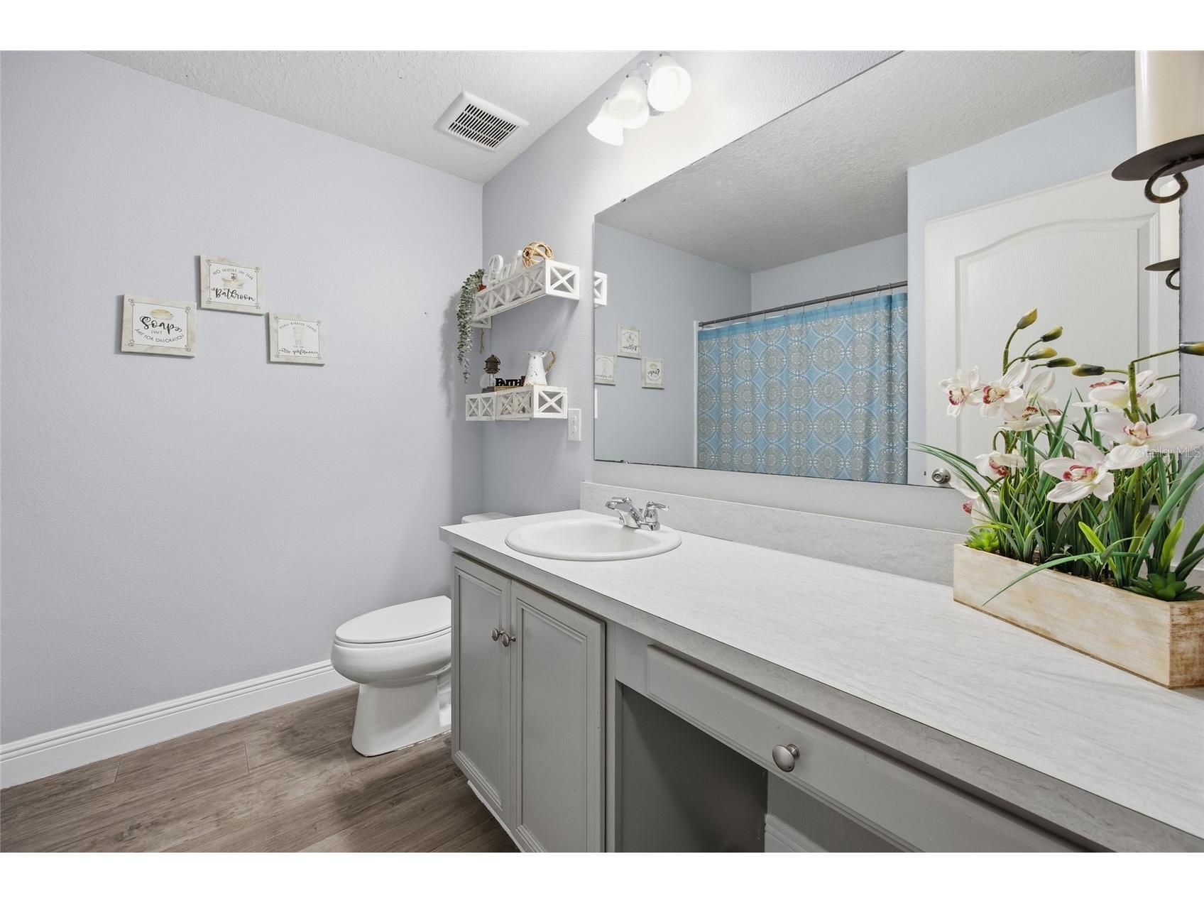 6461 Domenico Court Groveland FL 34736 OM723736 image28