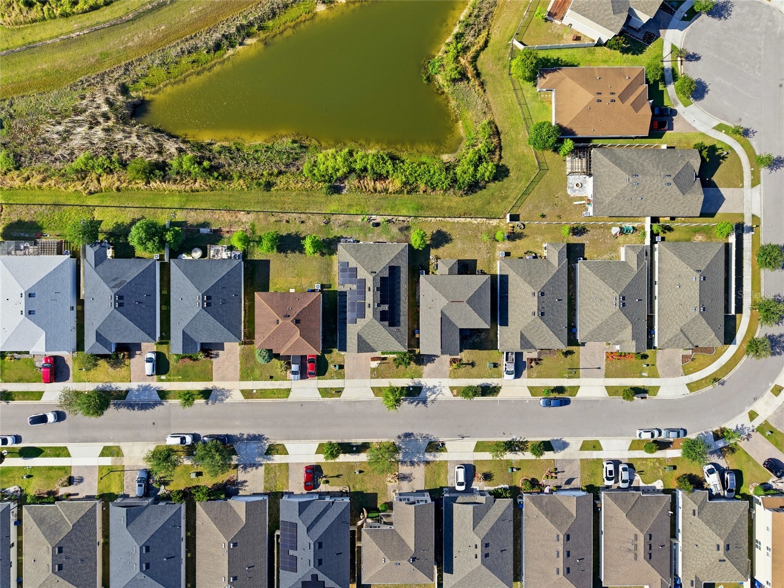6461 Domenico Court Groveland FL 34736 OM723736 image39