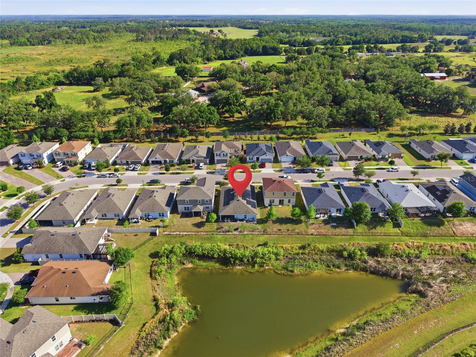 6461 Domenico Court Groveland FL 34736 OM723736 image44
