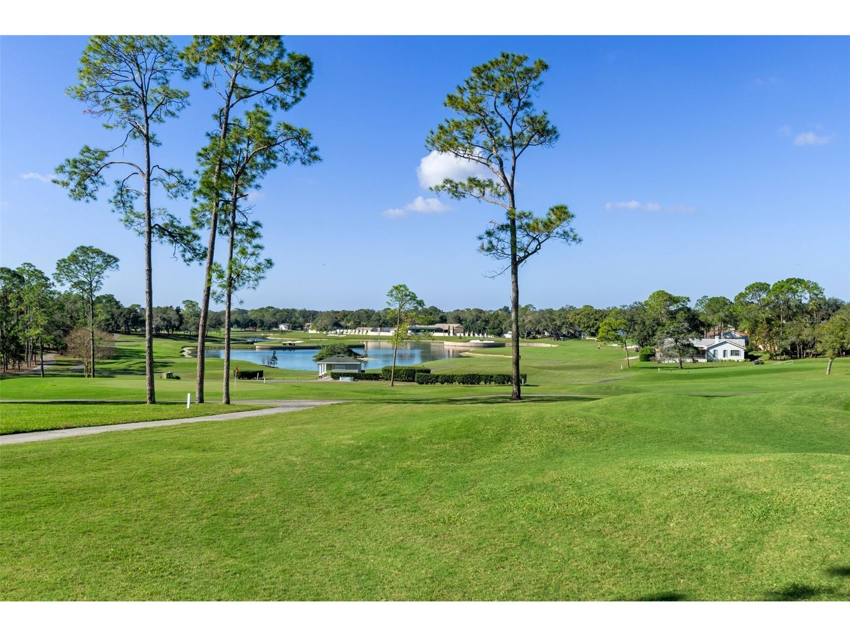 6461 Ocean Pines Lane Spring Hill FL 34606 W7881665 image46