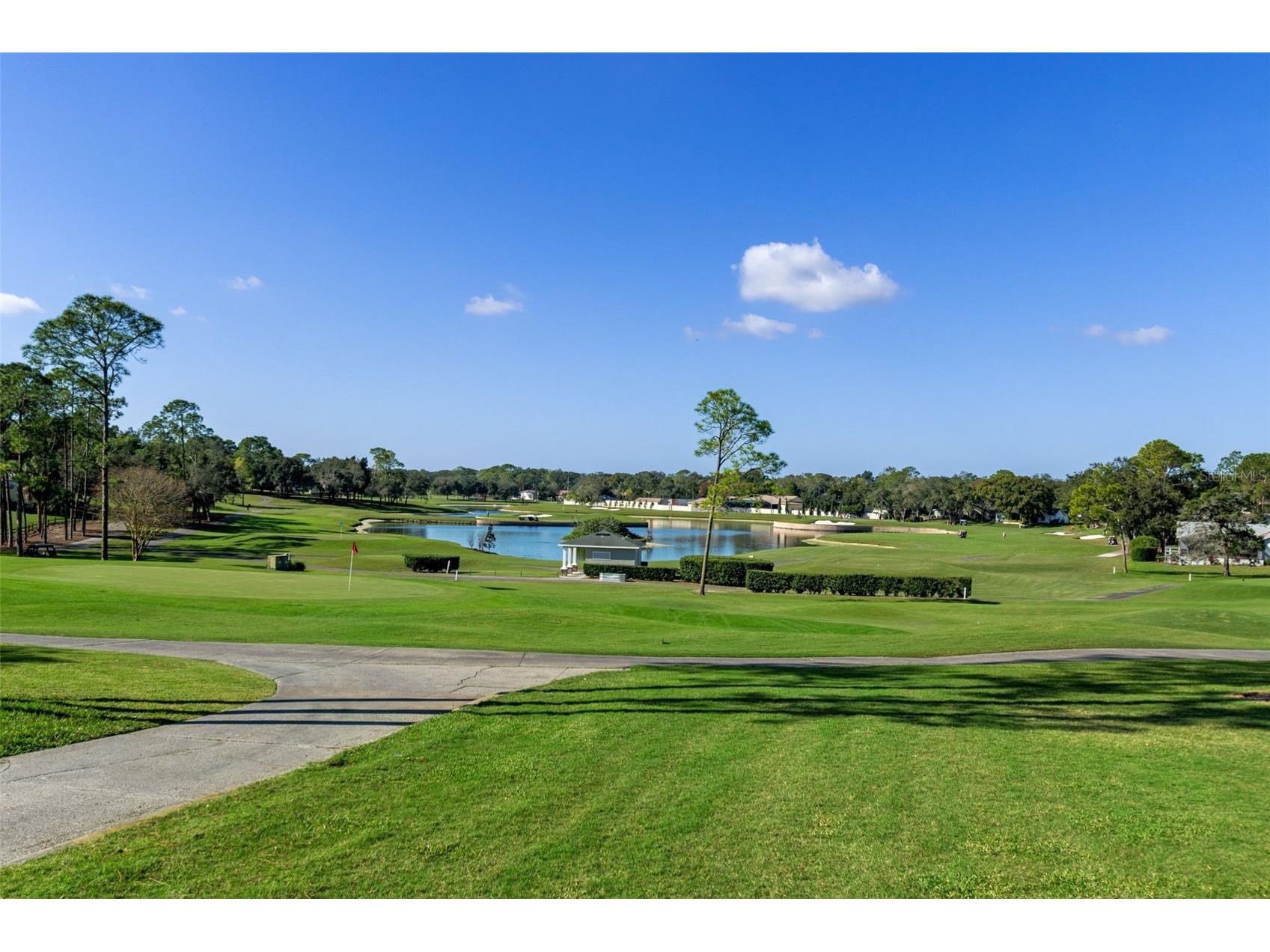 6461 Ocean Pines Lane Spring Hill FL 34606 W7881665 image47