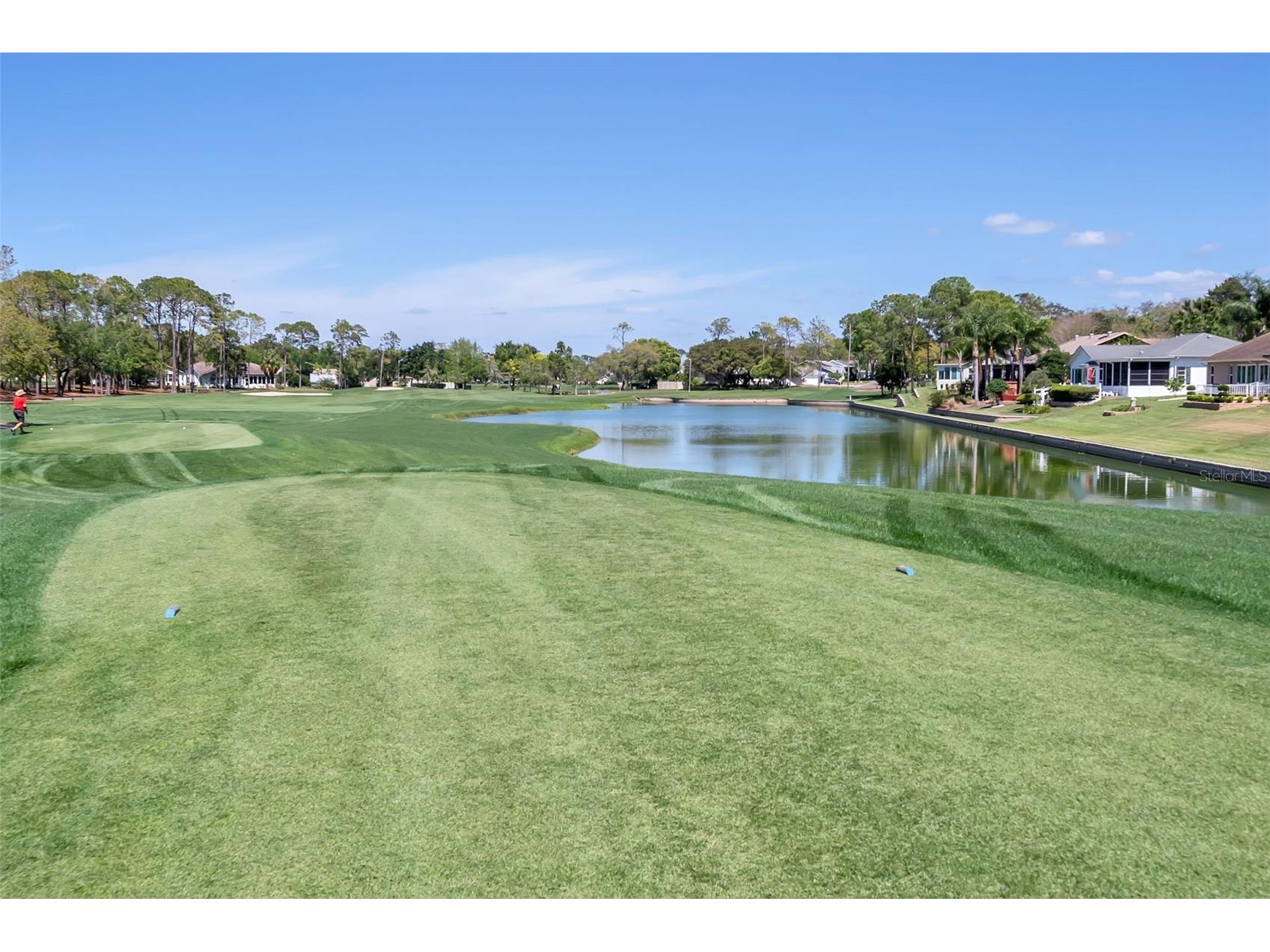 6461 Ocean Pines Lane Spring Hill FL 34606 W7881665 image71