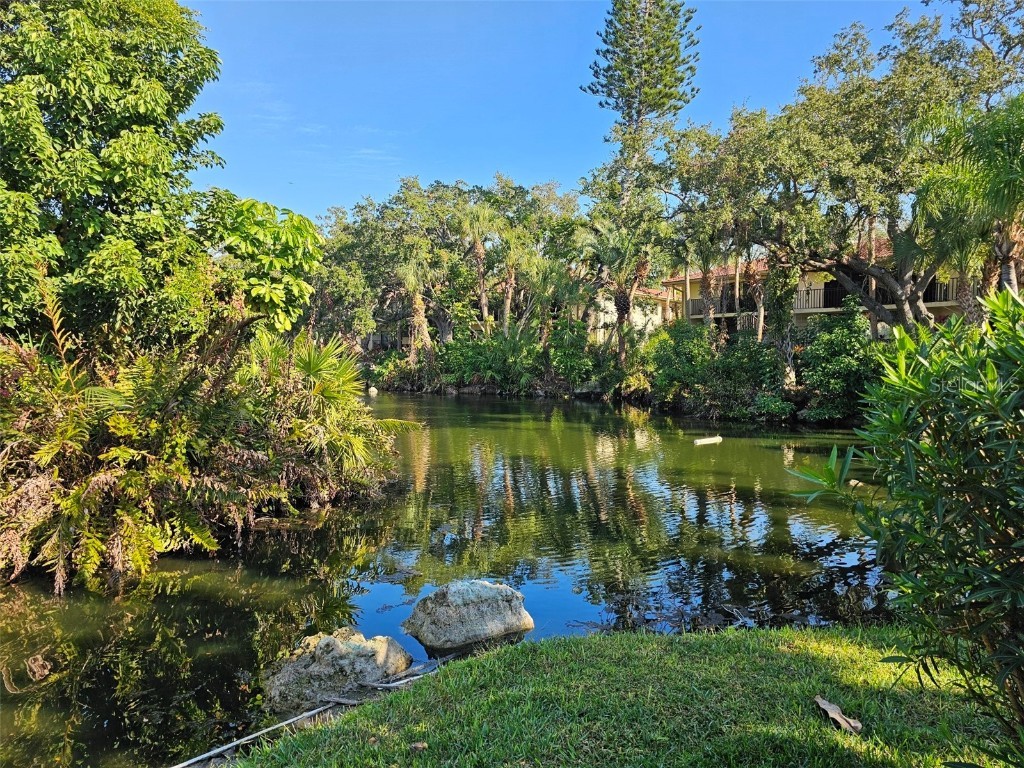 6462 Wild Oak Bay Boulevard #243 Bradenton FL 34210 A4187003 image37