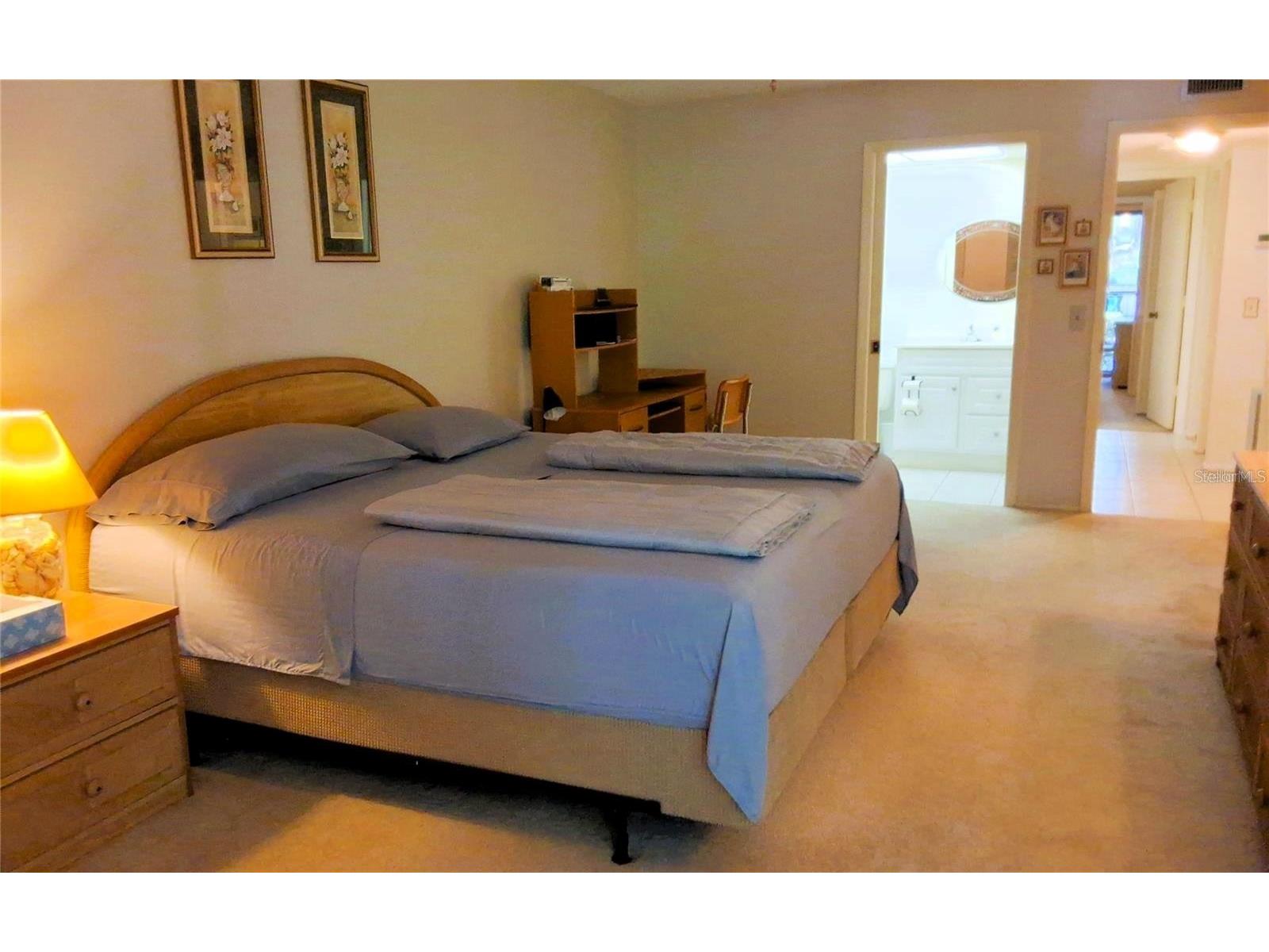 6462 Wild Oak Bay Boulevard #245 Bradenton FL 34210 A4678602 image23
