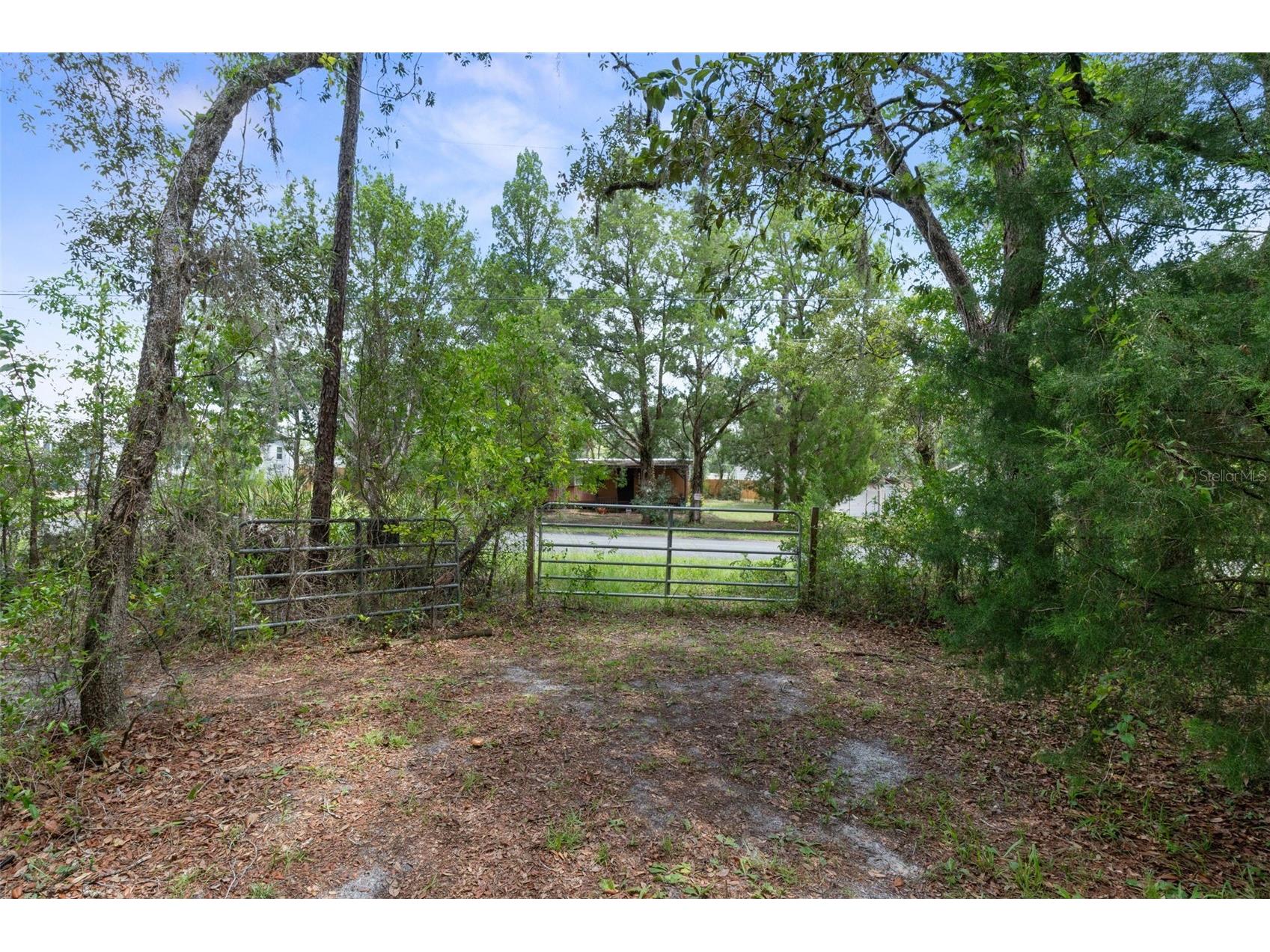 6463 W Park Drive Homosassa FL 34446 OM729152 image29