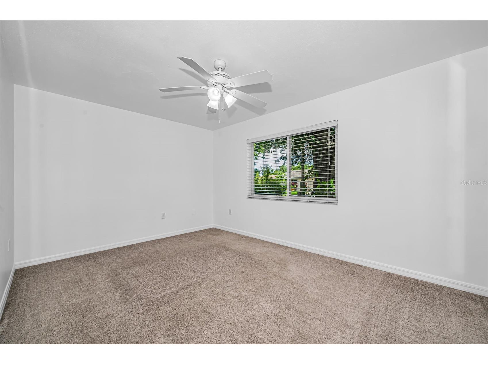 6464 107th Terrace N Pinellas Park FL 33782 TB8528378 image23