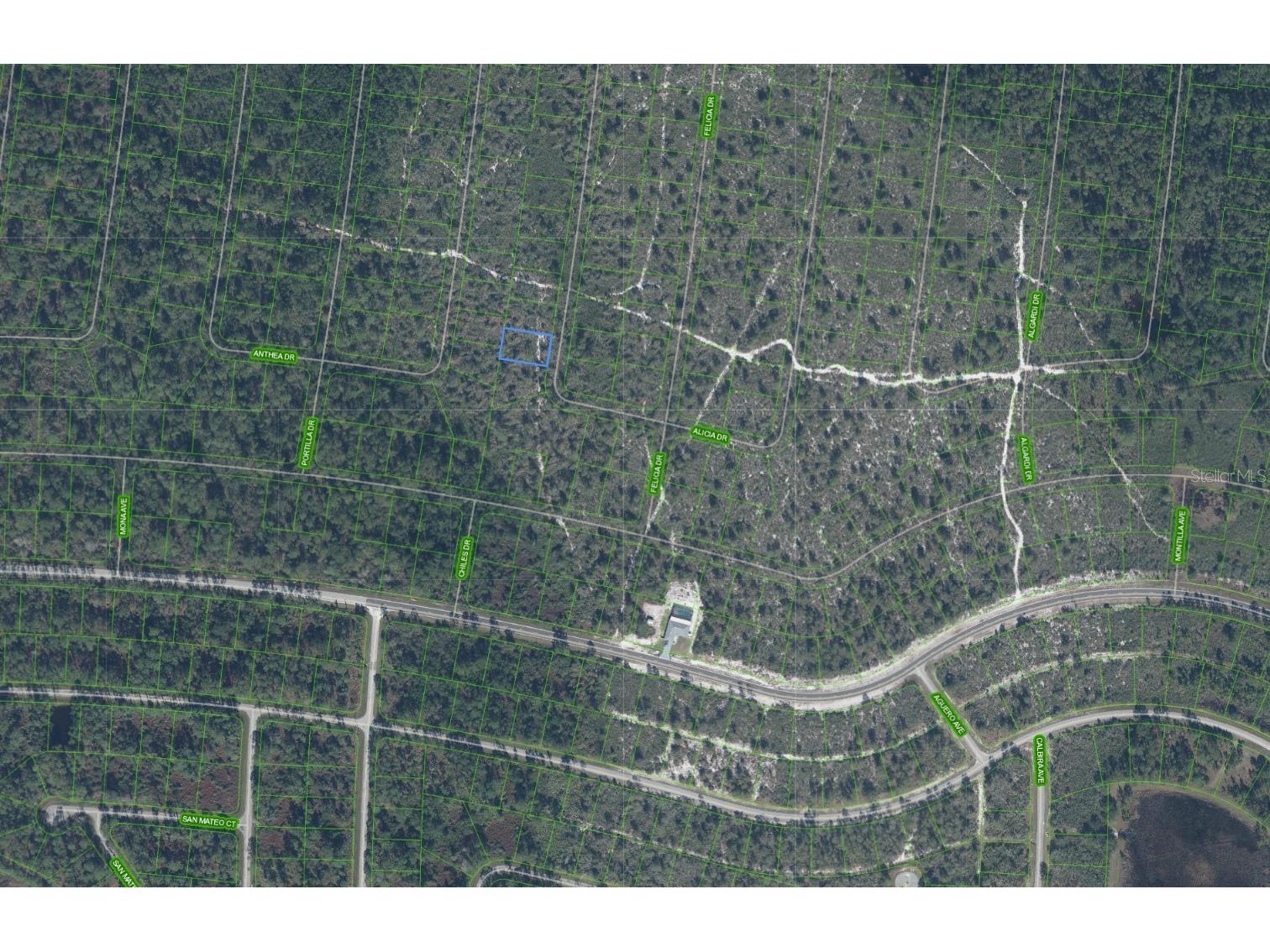 6464 Alicia Drive Sebring FL 33872 P4938298 image2