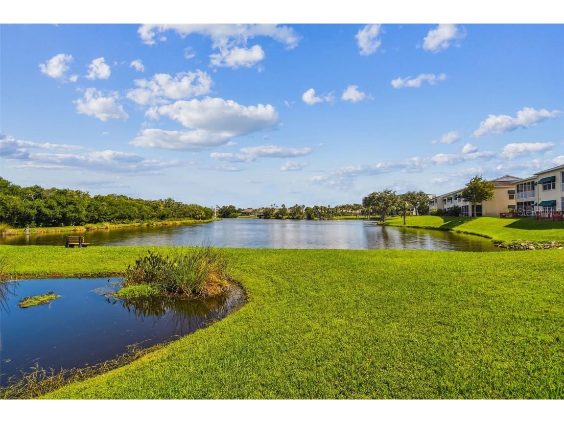 6465 99th Way N #17A Saint Petersburg FL 33708 - LONG BAYOU TB8435035 image56