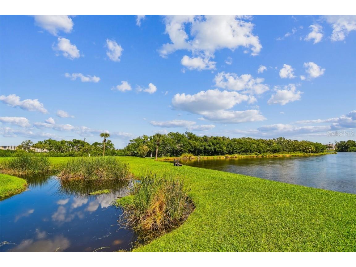 6465 99th Way N #17A Saint Petersburg FL 33708 - LONG BAYOU TB8435035 image59