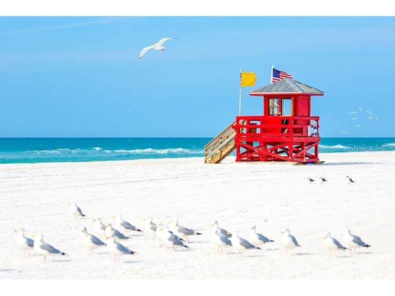 6465 Carrington Circle #44 Sarasota FL 34238 A4666966 image61