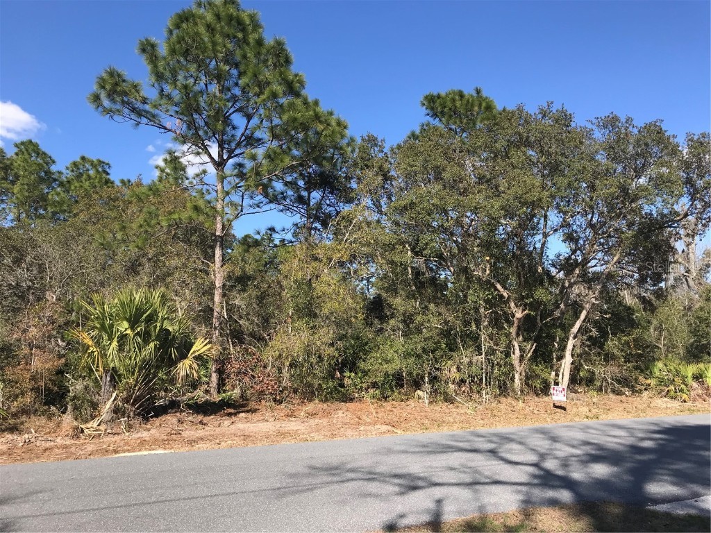 6465 W Liberty Lane Homosassa FL 34448 T3505647 image1