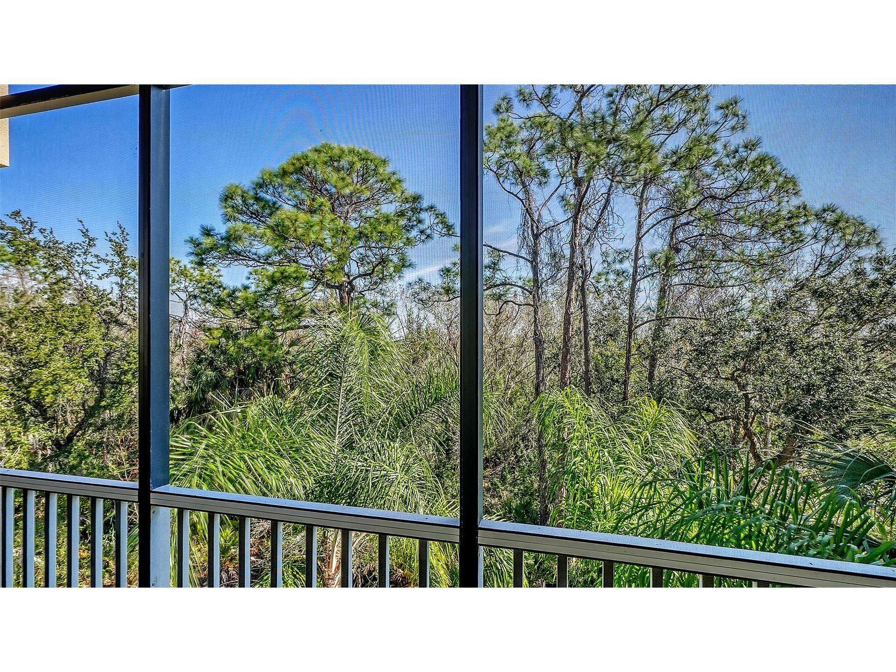 6465 Watercrest Way #301 Lakewood Ranch FL 34202 A4683907 image42