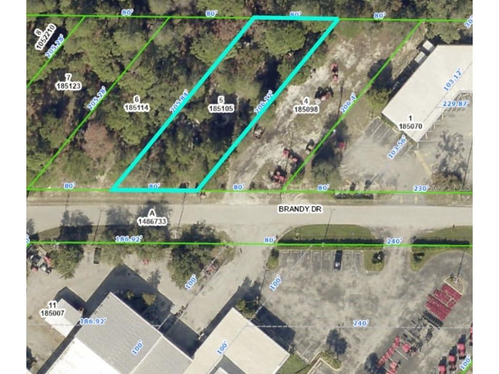 6467 Brandy Drive Spring Hill FL 34607 W7859315 image1