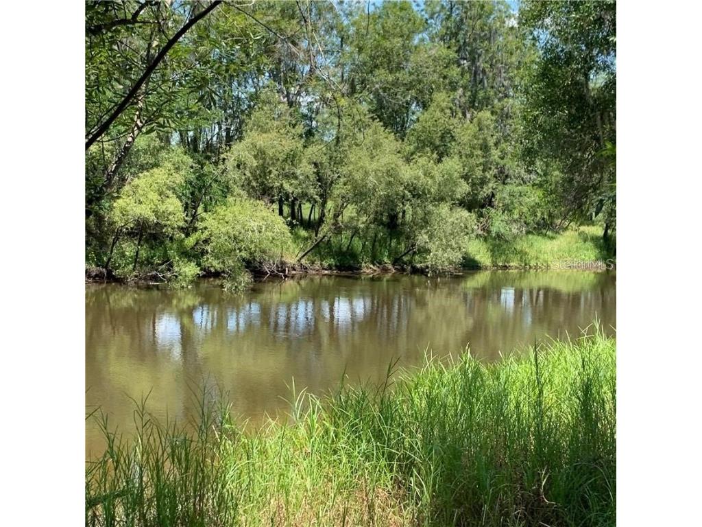 6467 NE Masters Avenue Arcadia FL 34266 - PEACE RIVER A4568764 image1