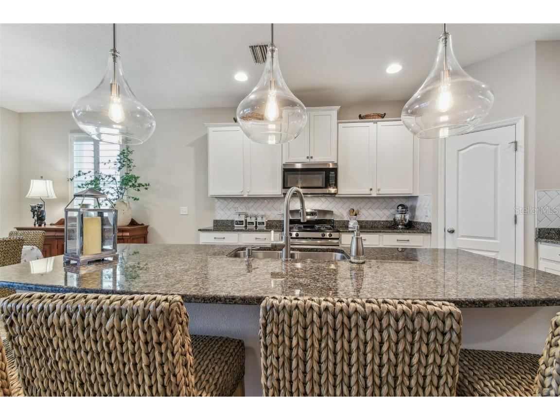 6467 Seasound Drive Apollo Beach FL 33572 TB8397482 image25