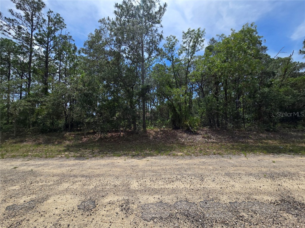 6468 N Baylor Terrace Dunnellon FL 34433 OM703904 image3