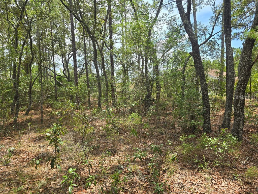 6468 N Baylor Terrace Dunnellon FL 34433 OM703904 image5