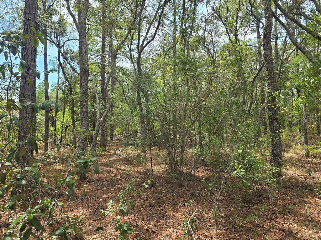 6468 N Baylor Terrace Dunnellon FL 34433 OM703904 image8