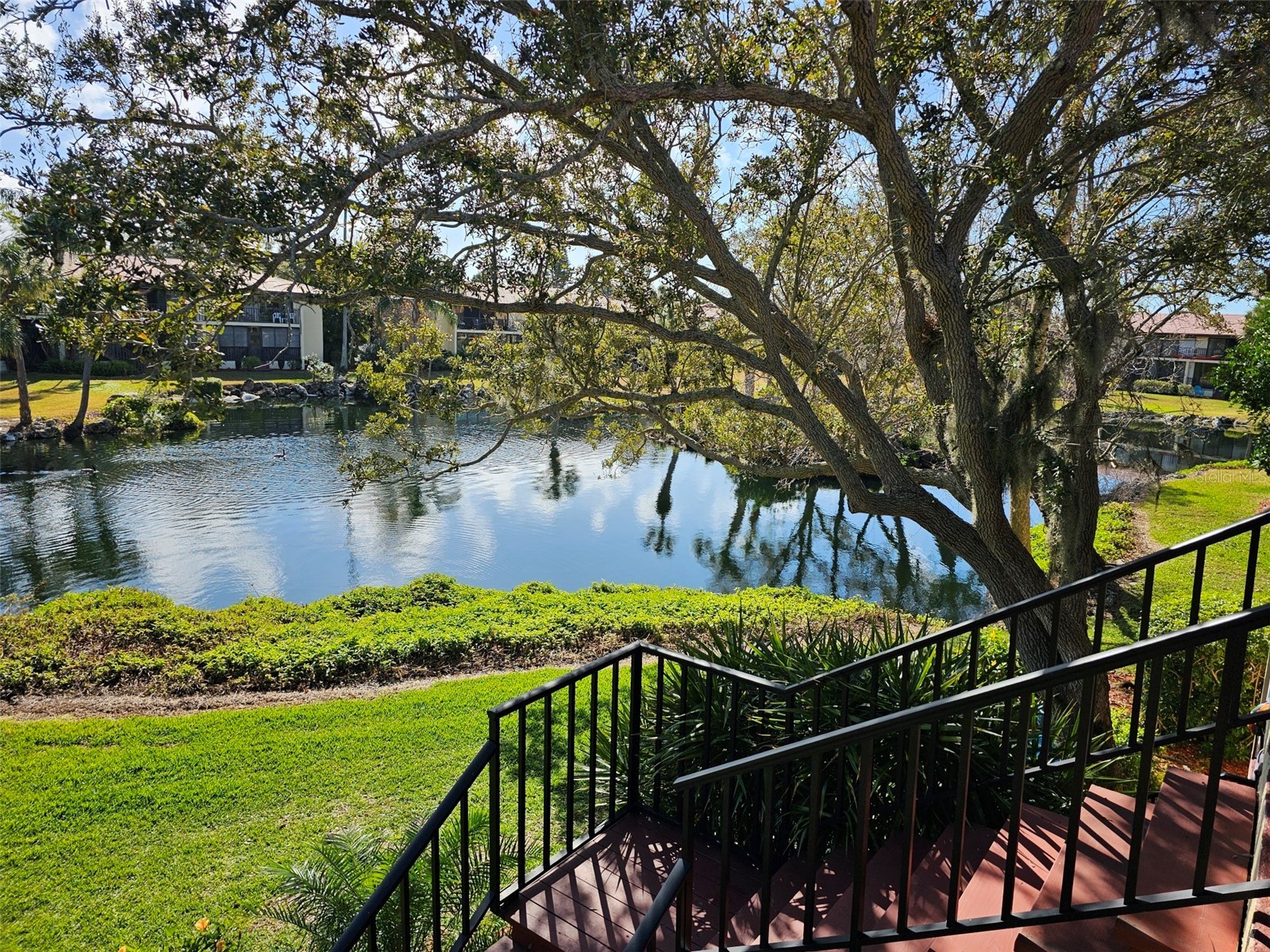 6468 Seagull Drive #316 Bradenton FL 34210 A4169414 image31