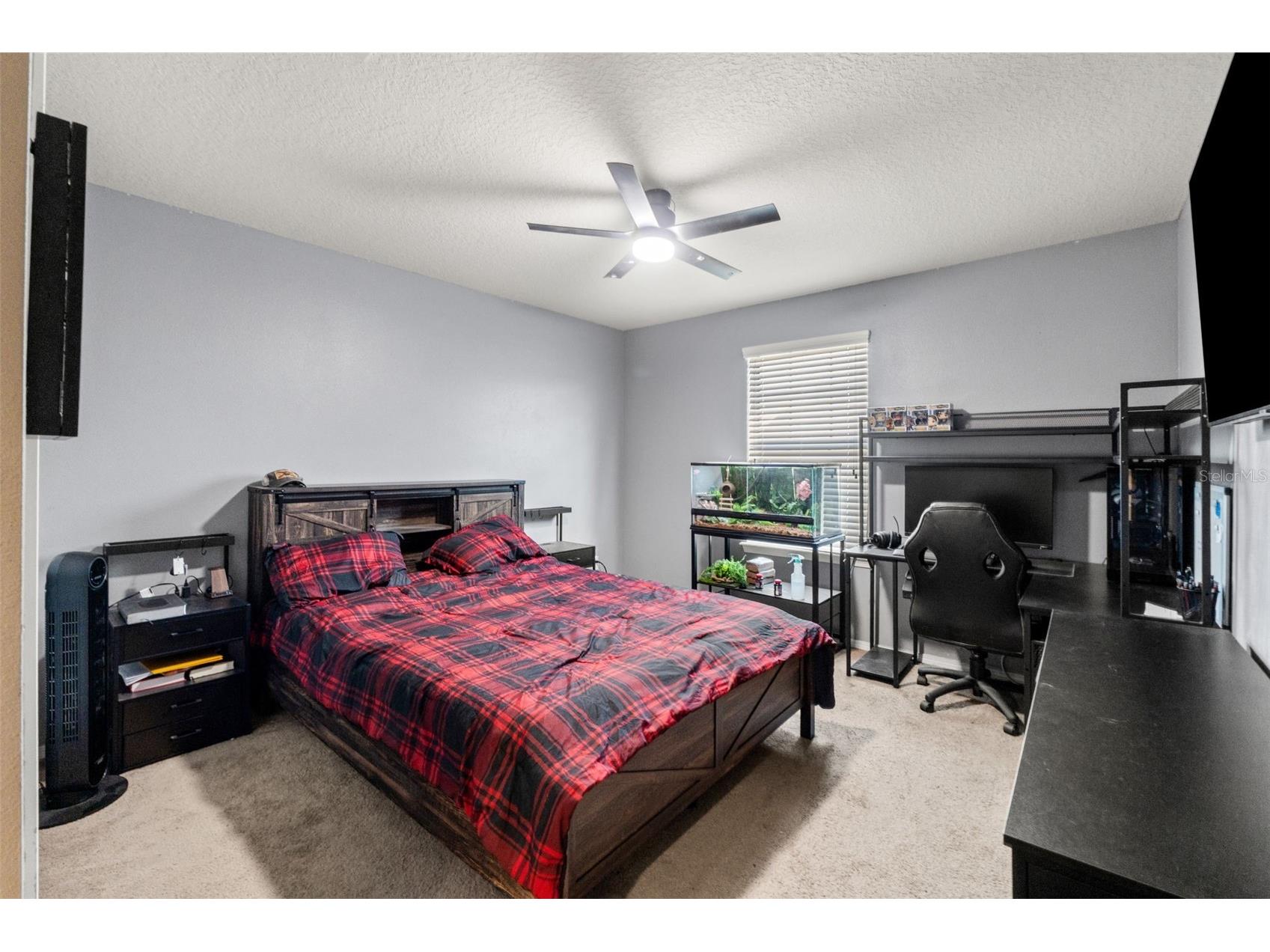 647 Alpine Thistle Drive Brooksville FL 34604 TB8491250 image16