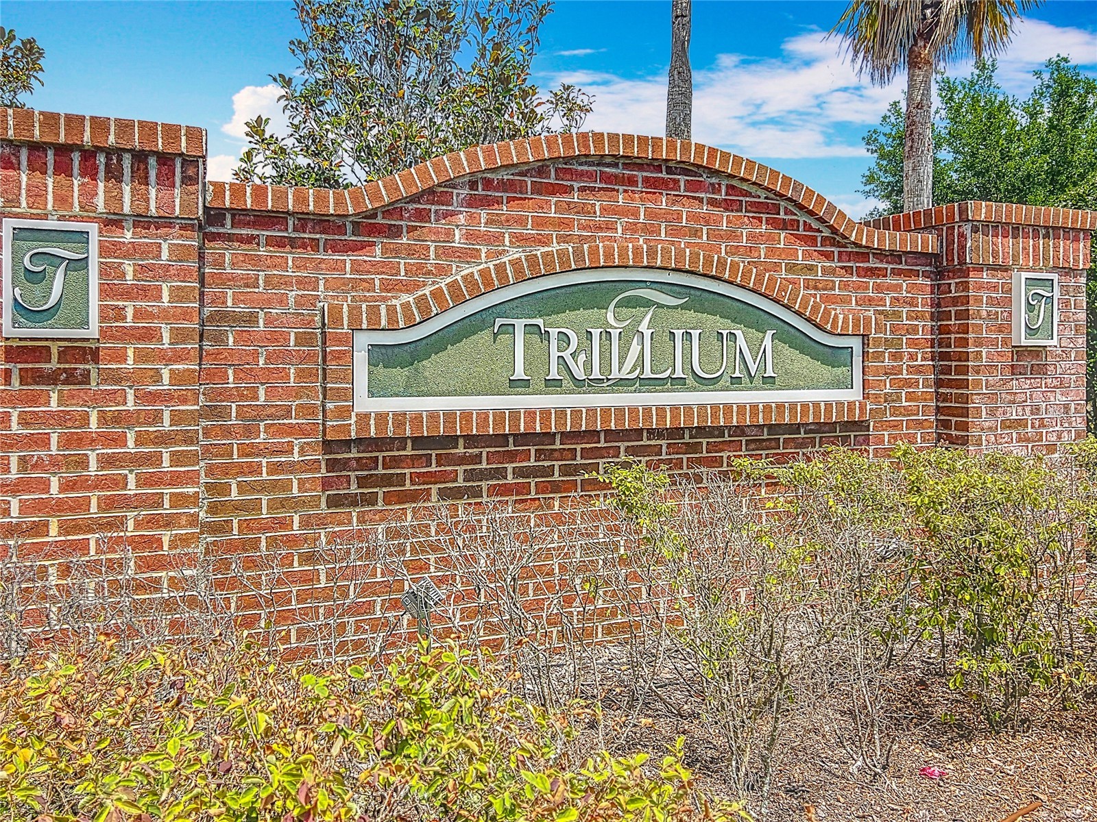 647 Alpine Thistle Drive Brooksville FL 34604 TB8491250 image51