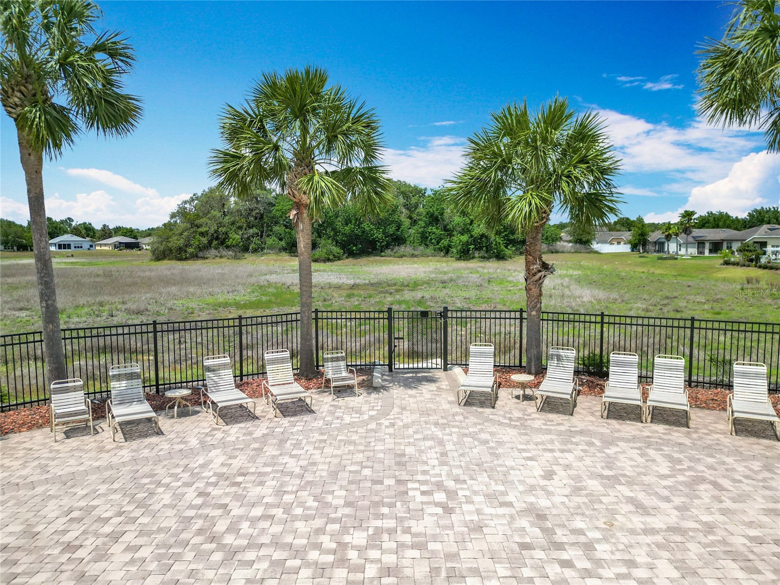 647 Alpine Thistle Drive Brooksville FL 34604 TB8491250 image55