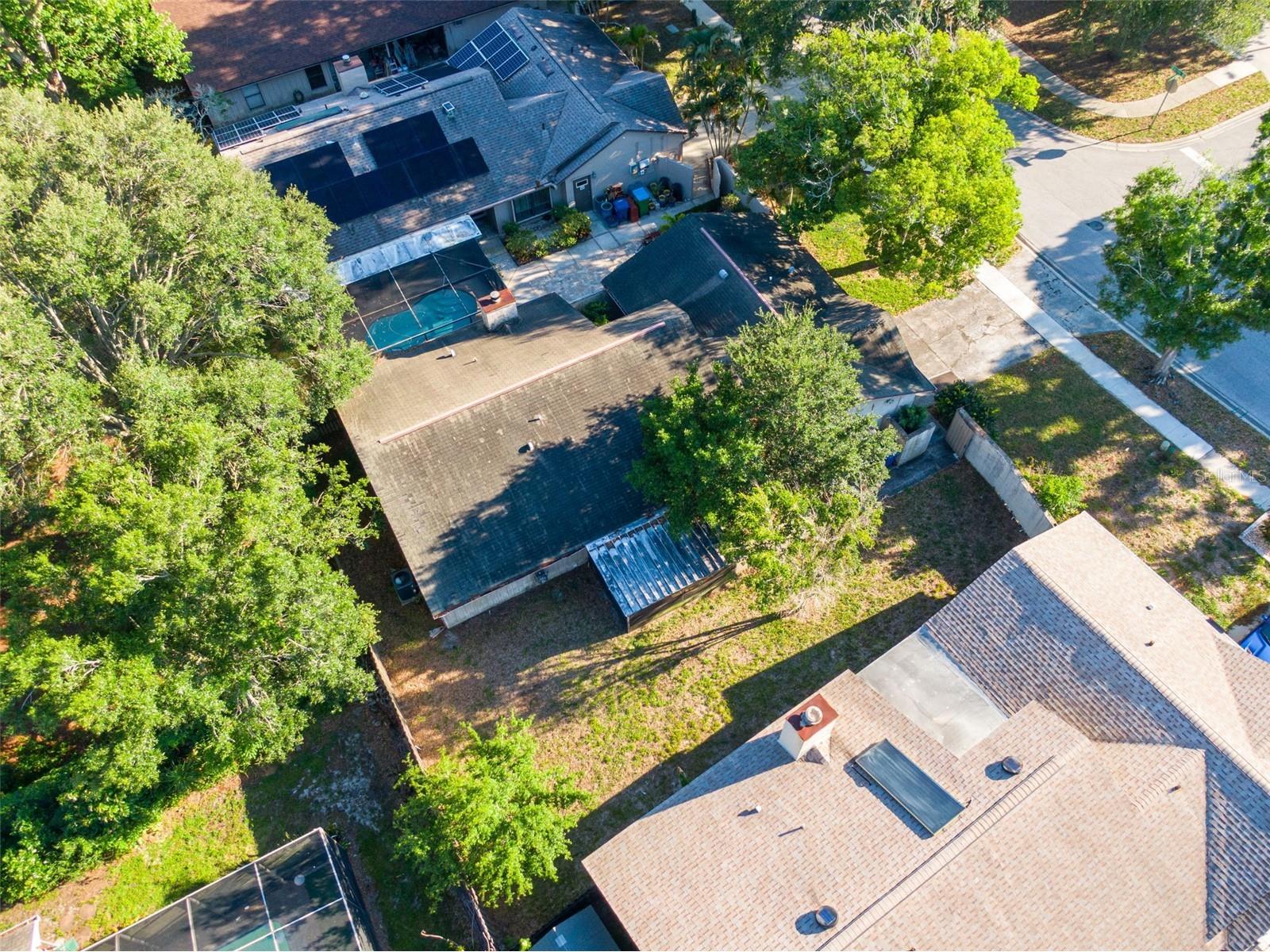 647 Bonnie Boulevard Palm Harbor FL 34684 TB8509475 image30
