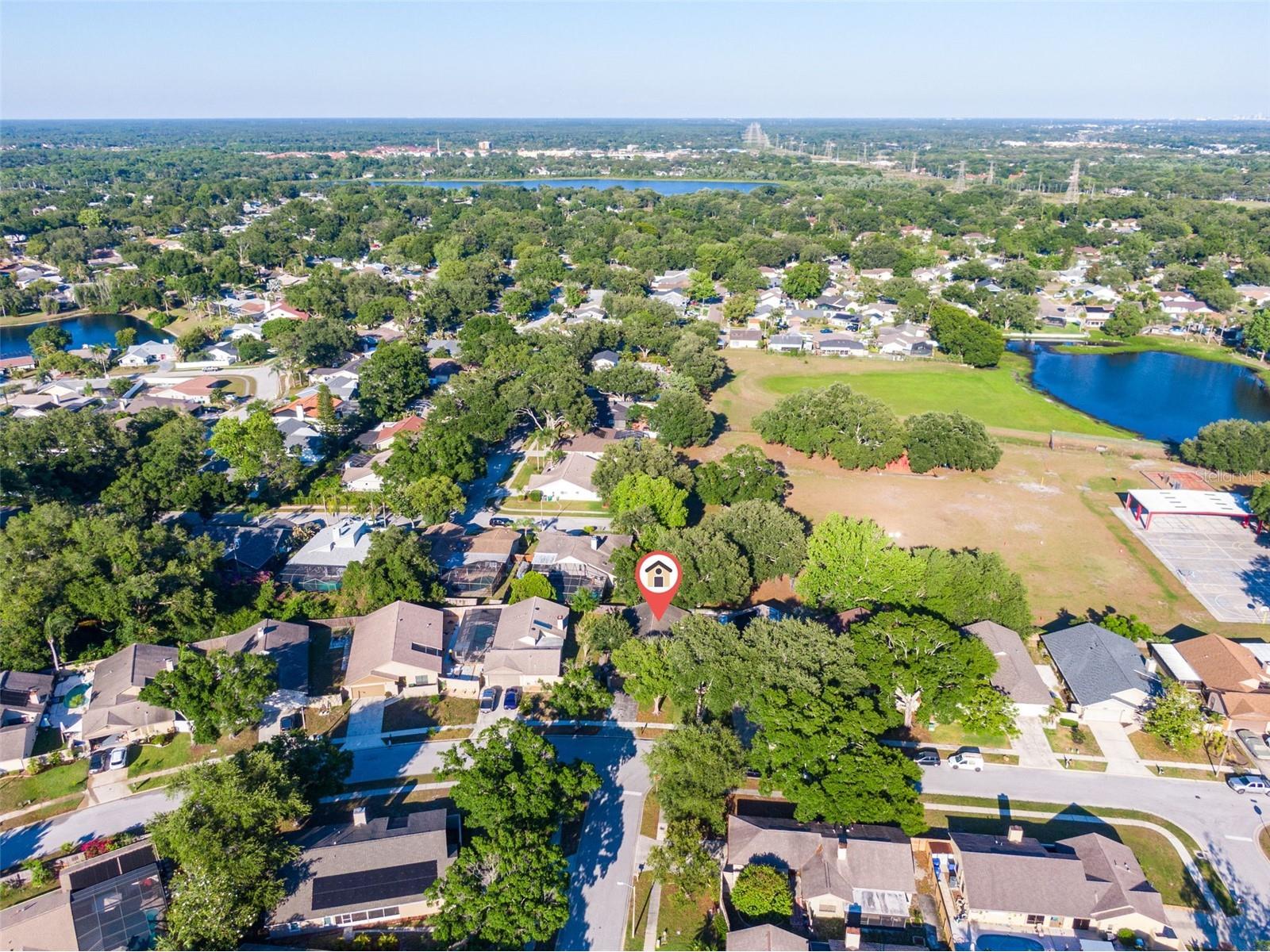 647 Bonnie Boulevard Palm Harbor FL 34684 TB8509475 image32
