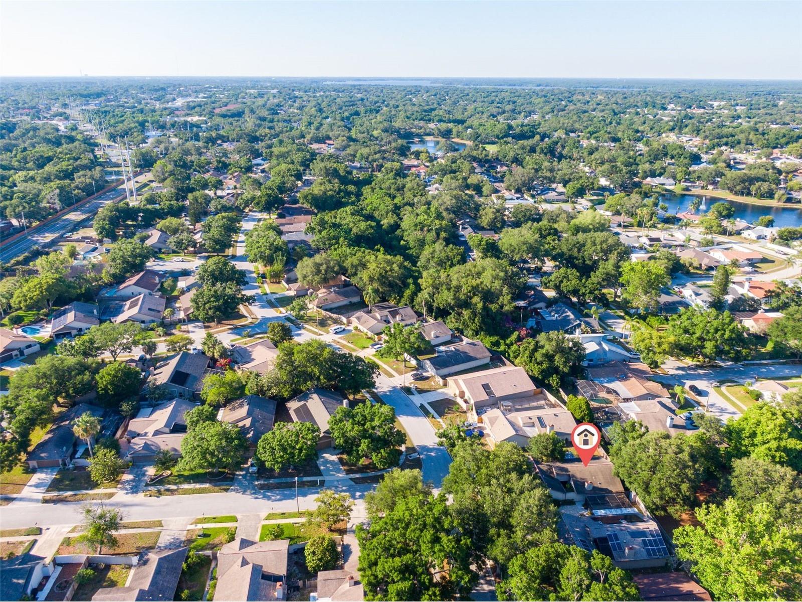 647 Bonnie Boulevard Palm Harbor FL 34684 TB8509475 image33