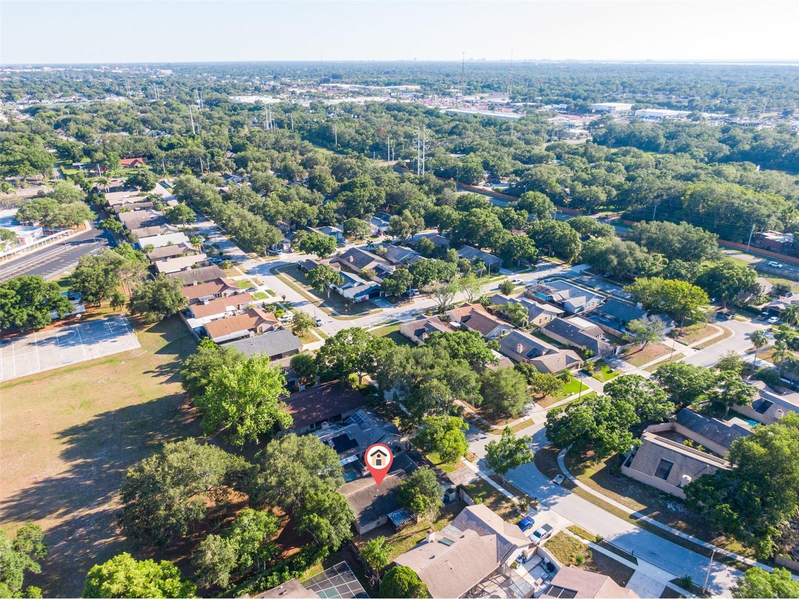 647 Bonnie Boulevard Palm Harbor FL 34684 TB8509475 image34