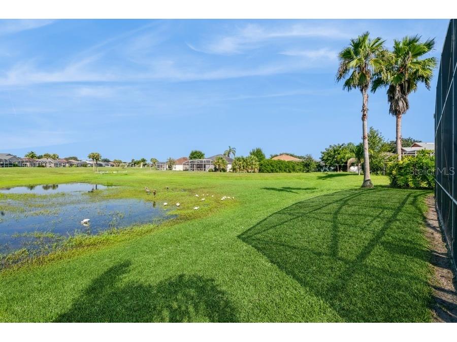 647 Ella Mae Drive Davenport FL 33897 P4935618 image4