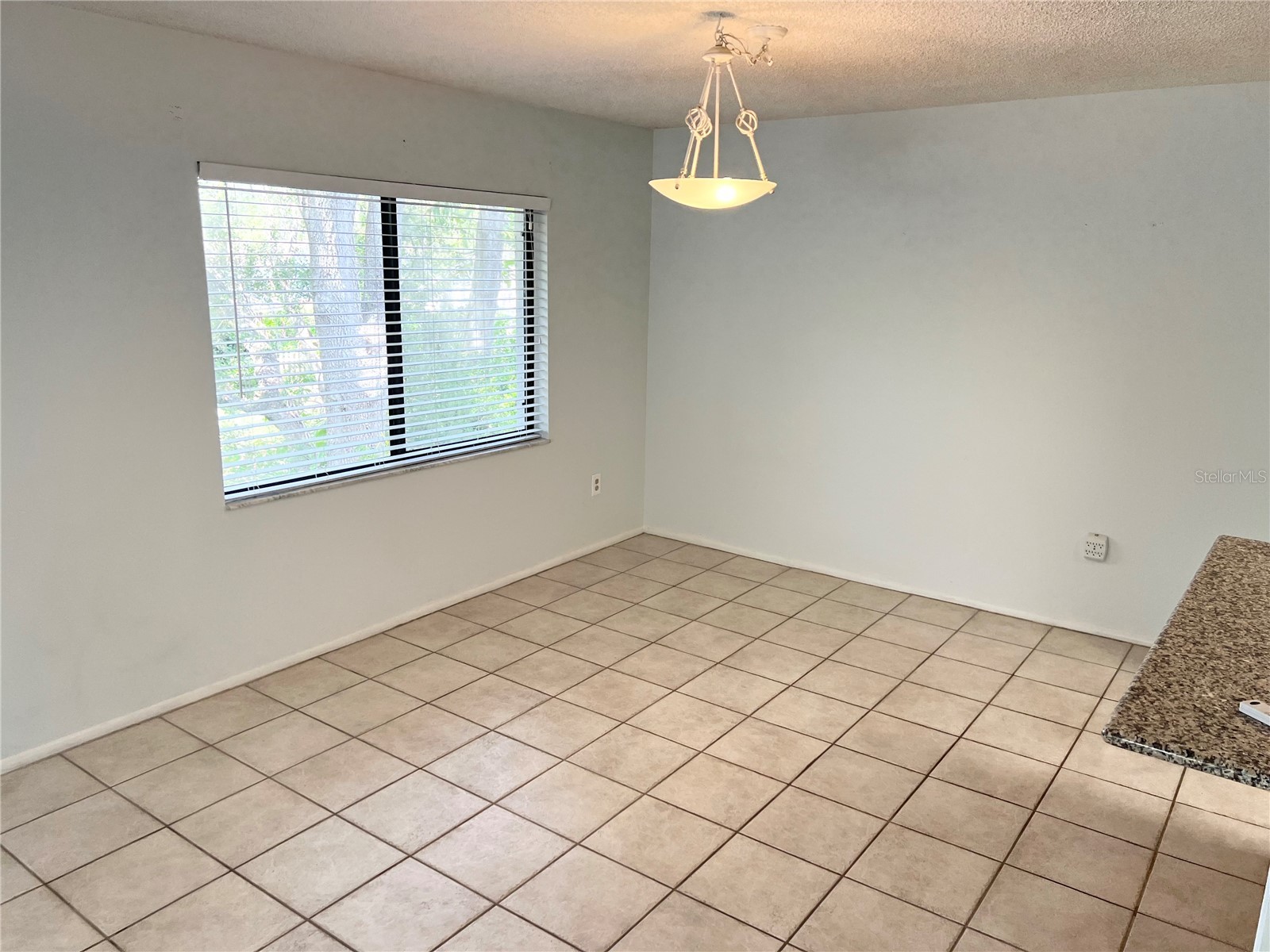 647 Fairmont Avenue #C Safety Harbor FL 34695 TB8387158 image11