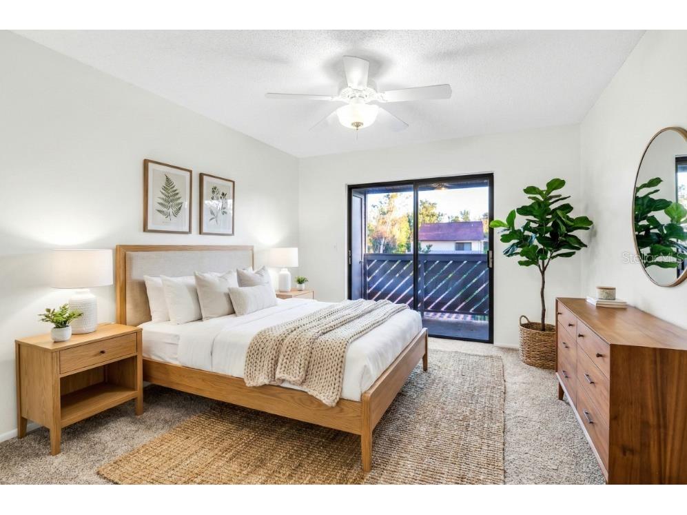 647 Fairmont Avenue #C Safety Harbor FL 34695 TB8387158 image25