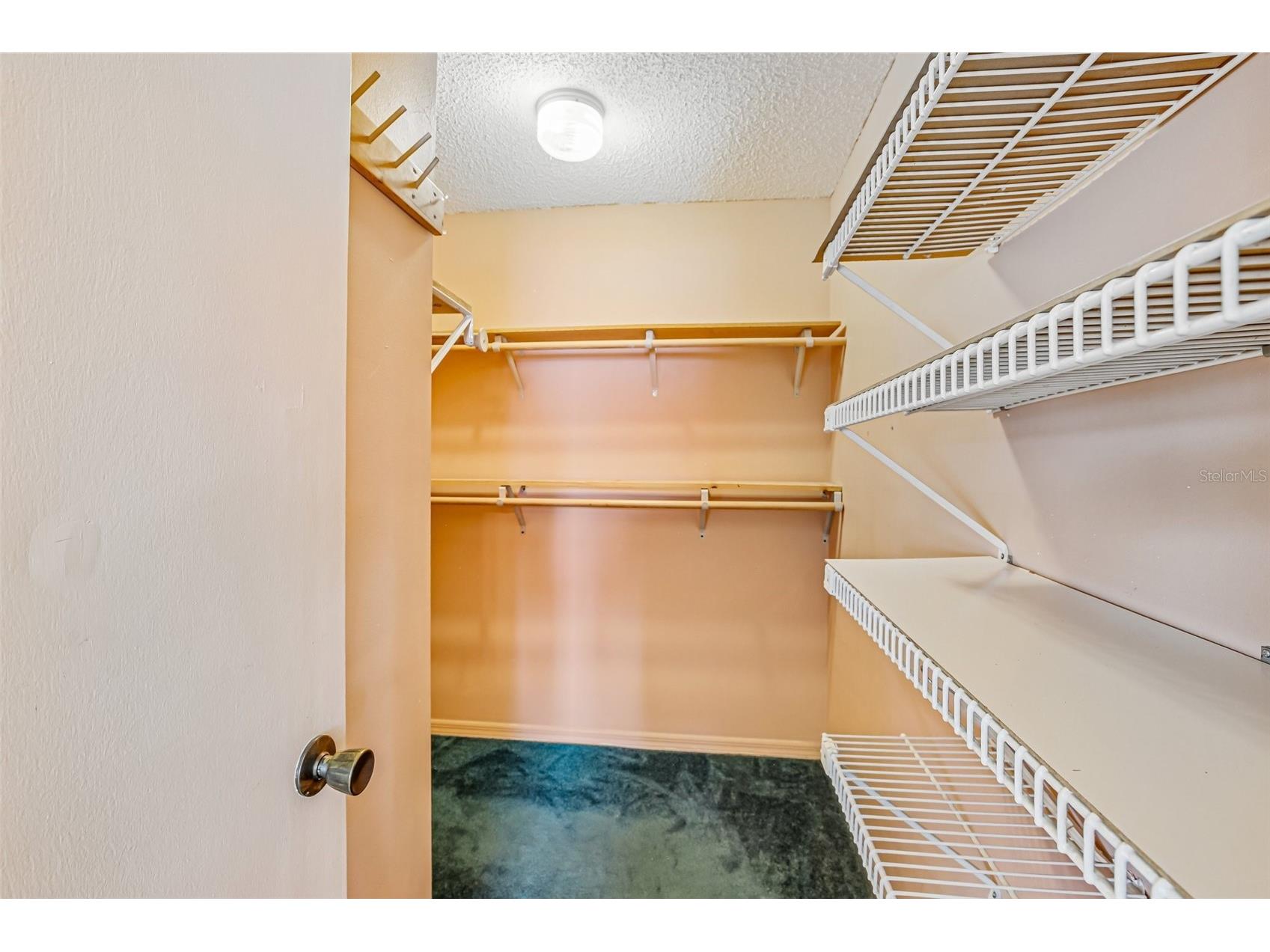 647 Fort Duquesna Drive Sun City Center FL 33573 TB8504711 image25