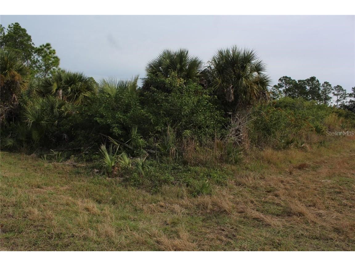 647 Naples Lehigh Acres FL 33974 N6141514 image1