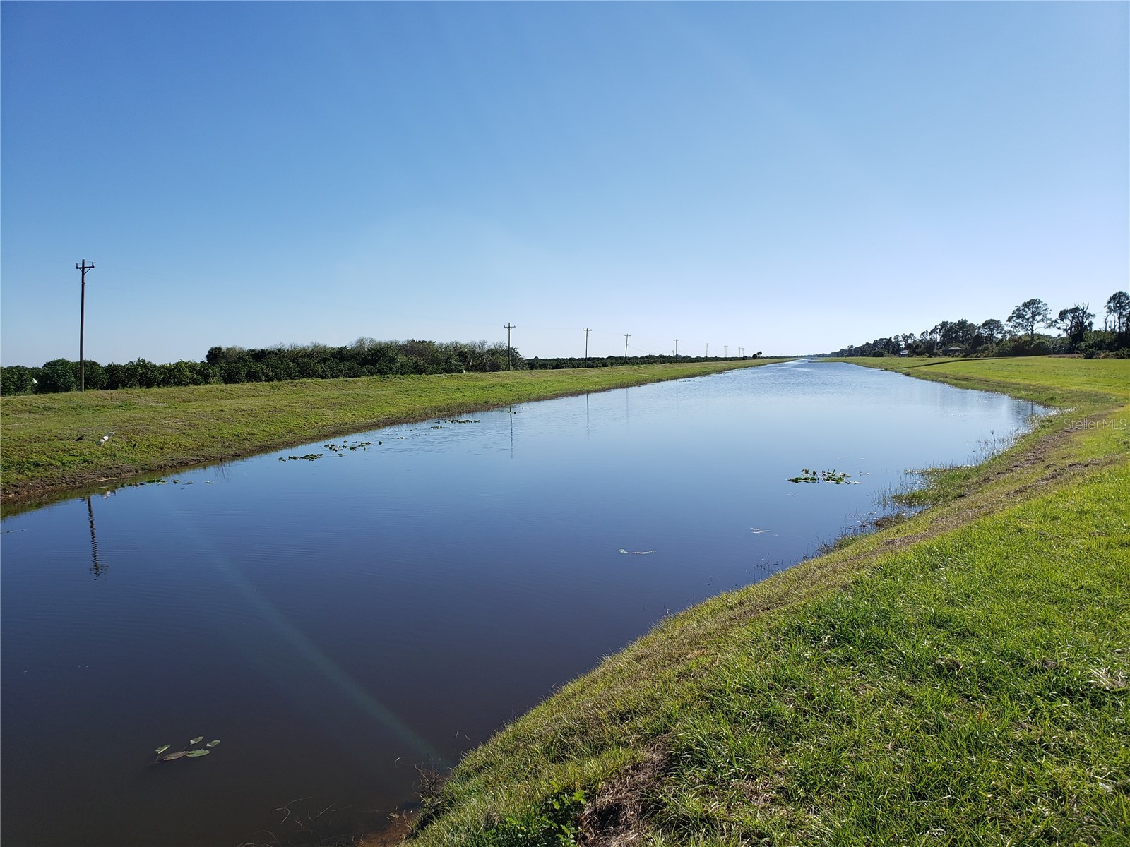 647 Naples Lehigh Acres FL 33974 N6141514 image2