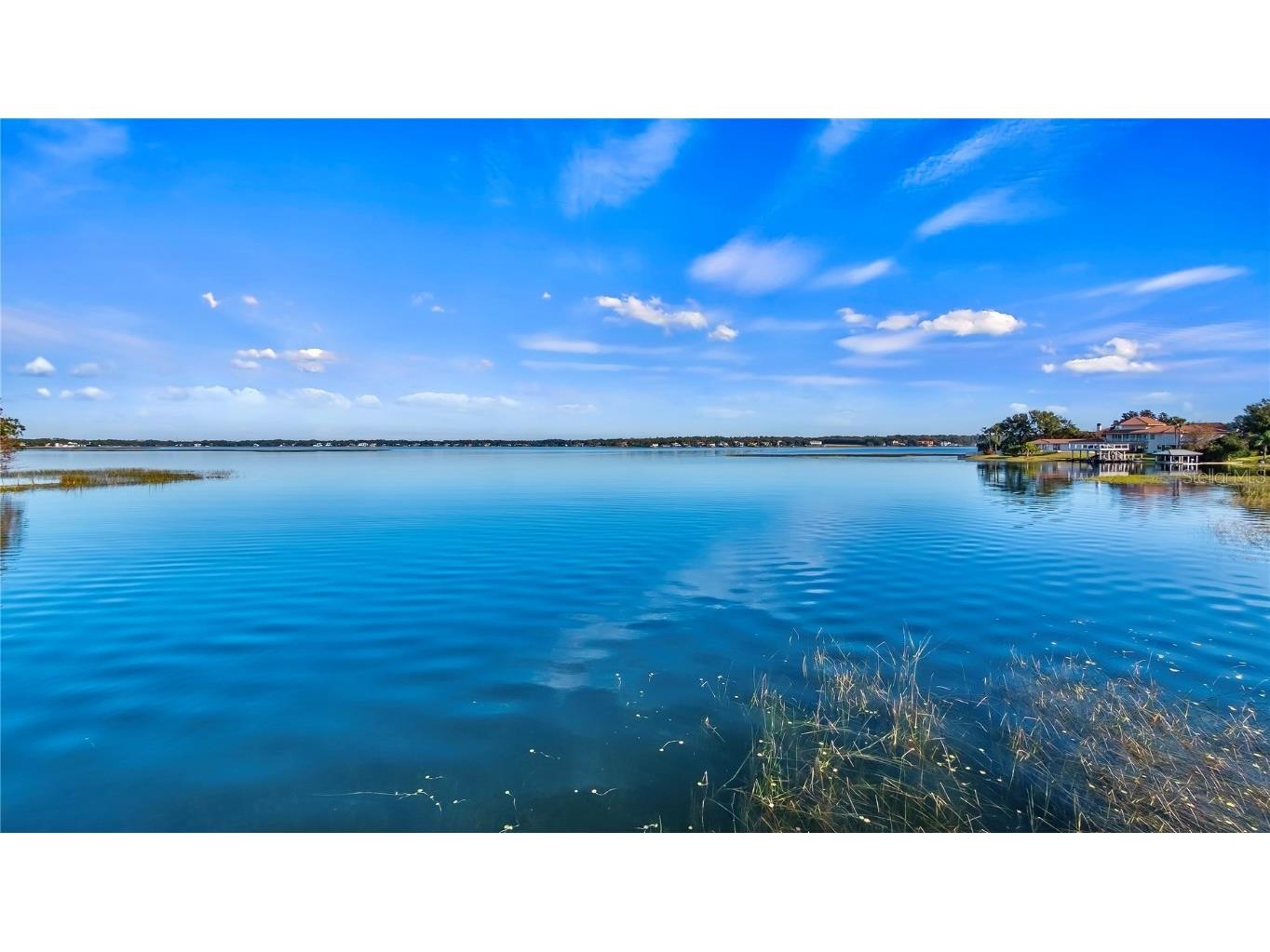 647 Ridgewood Drive Windermere FL 34786 - LAKE DOWN O6263552 image23