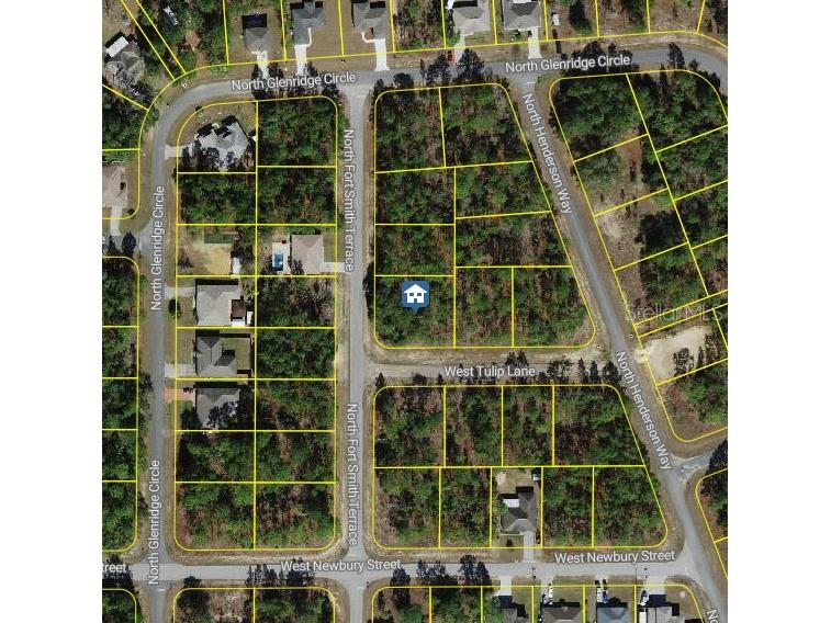 647 W Tulip Lane Citrus Springs FL 34434 W7882182 image1