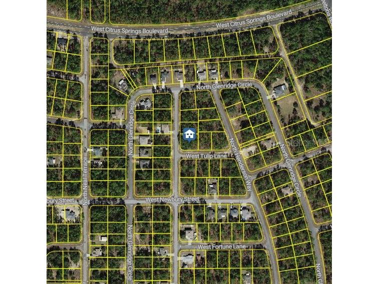 647 W Tulip Lane Citrus Springs FL 34434 W7882182 image2