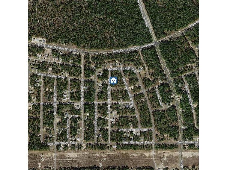 647 W Tulip Lane Citrus Springs FL 34434 W7882182 image3